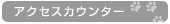 アクセスカウンター